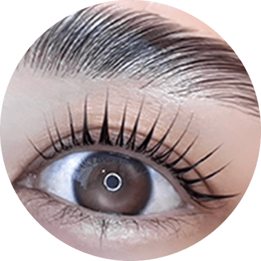 トレンドを取り入れたデザイン